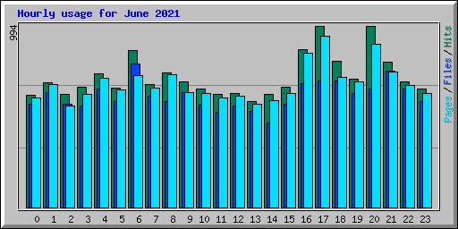 Hourly usage for June 2021