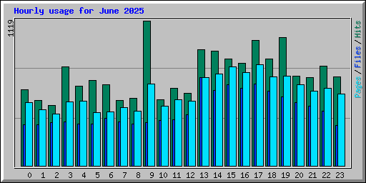 Hourly usage for June 2025