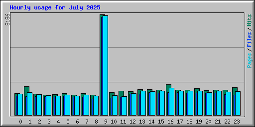 Hourly usage for July 2025
