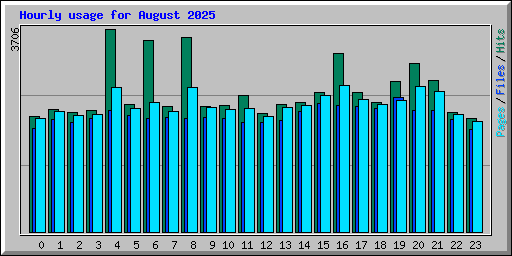 Hourly usage for August 2025