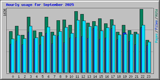 Hourly usage for September 2025