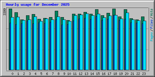 Hourly usage for December 2025