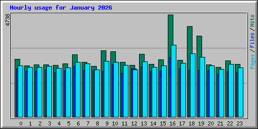 Hourly usage for January 2026