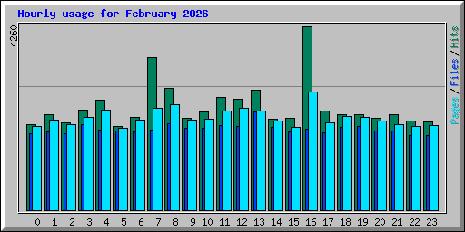 Hourly usage for February 2026