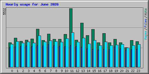 Hourly usage for June 2026