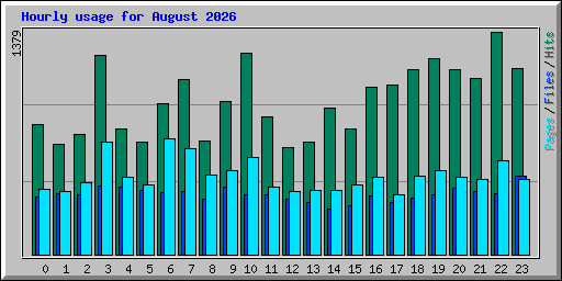 Hourly usage for August 2026