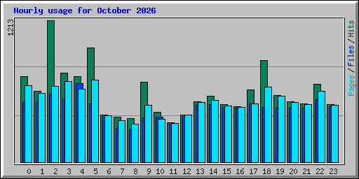 Hourly usage for October 2026
